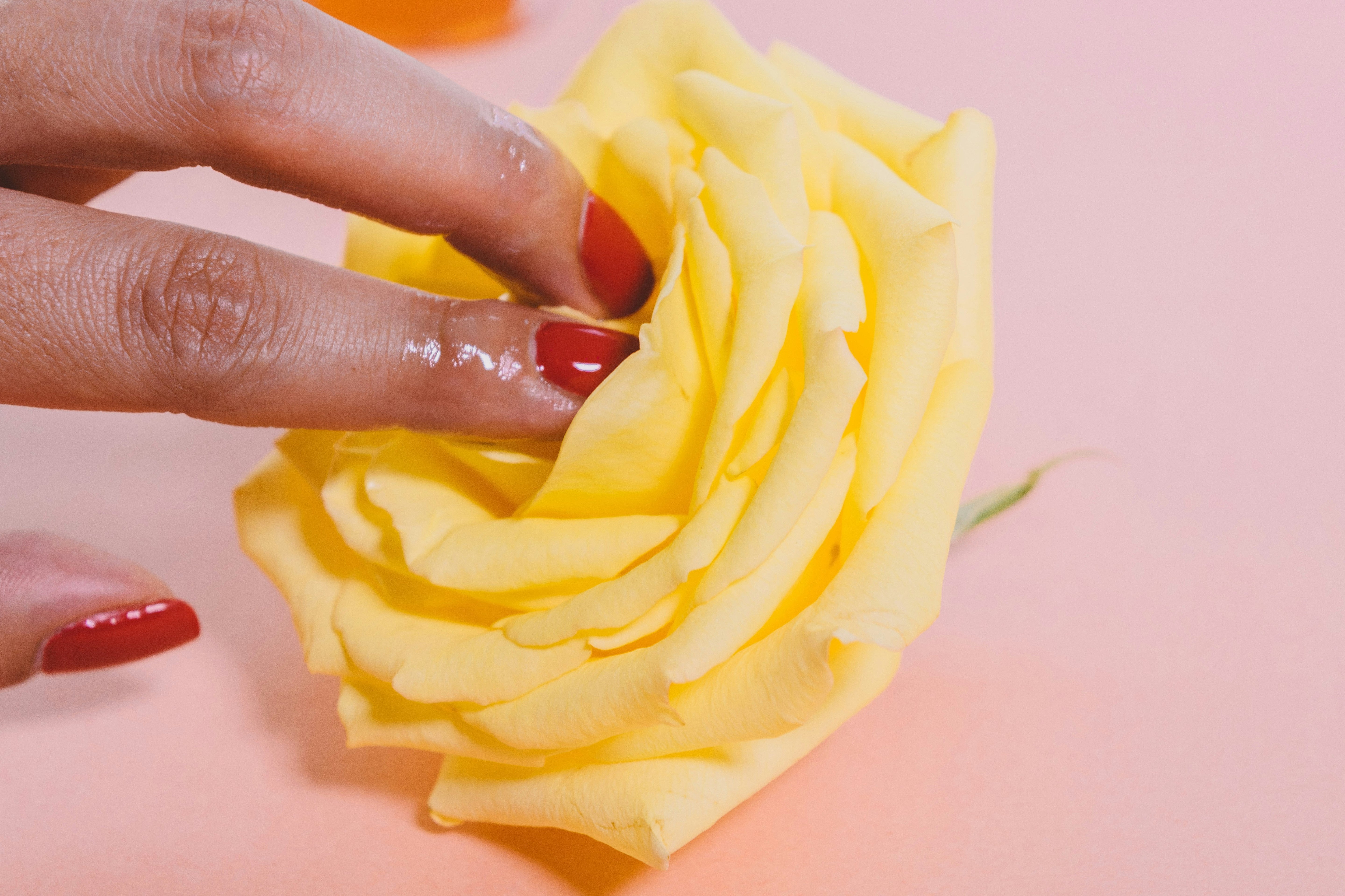 Period Sex 101: A Guide to Pleasure, Comfort, and Clean-Up