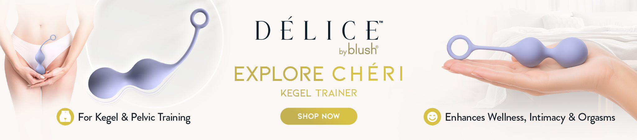 BL-23721-Delice-Cheri-Banner-B2B-Desktop-CTA.jpg