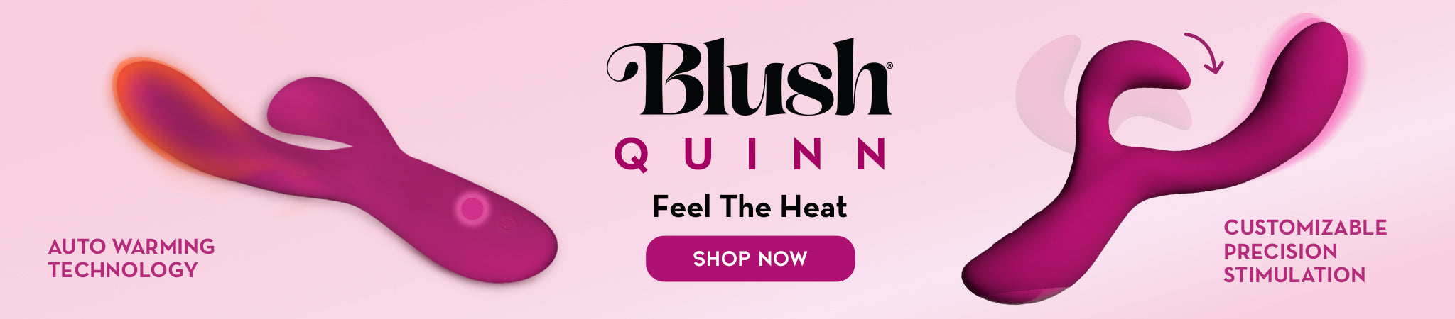 BL-41520_Quinn_Desktop_banner.jpg