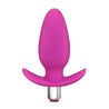 A rounded and bulbous pink butt plug with a slim neck and a thin flared base for safety and comfort. Features an opening at the base that fits the included small silver vibrating bullet. A single button on the bottom of the vibrator controls intensity. Additional images show alternate angles.